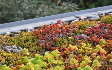the cost of Capel Y Graig green roof installation