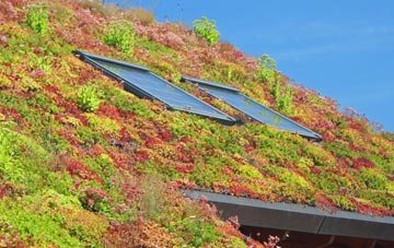 Capel Y Graig living roof systems