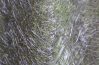 Capel Y Graig fibreglass roof work